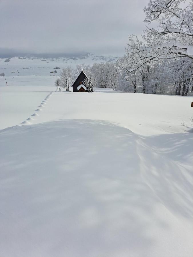 Vila Durmitor Nest Krstajic Zabljak  Exterior photo