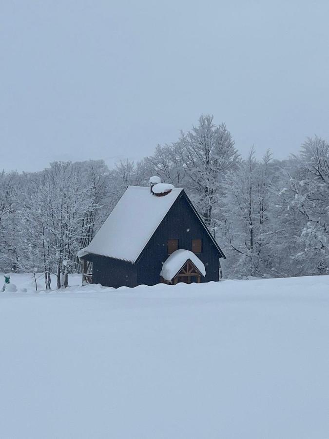 Vila Durmitor Nest Krstajic Zabljak  Exterior photo